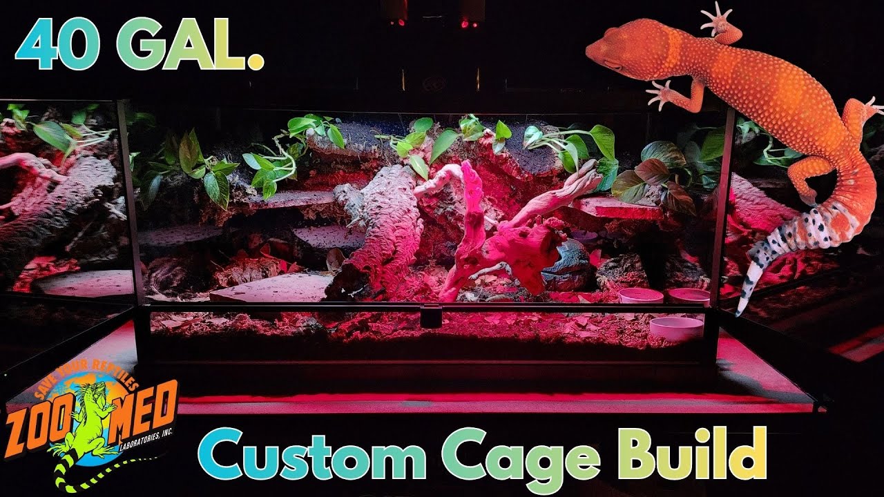 How to BUILD a custom BIO-ACTIVE cage for your LEOPARD GECKO - 40 gallon (2026)