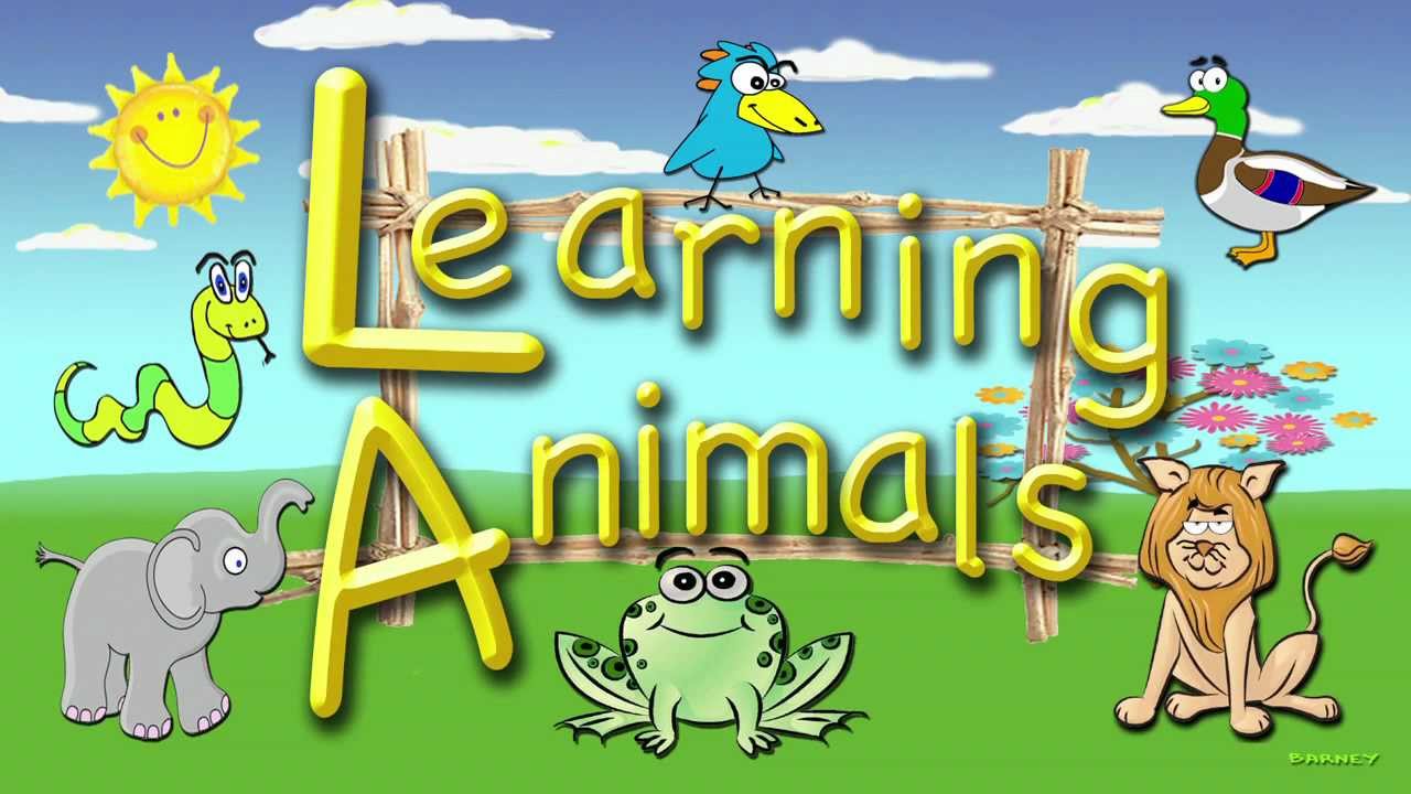 For Toddlers - Learning Animals, An Educational Video for Preschoolers
