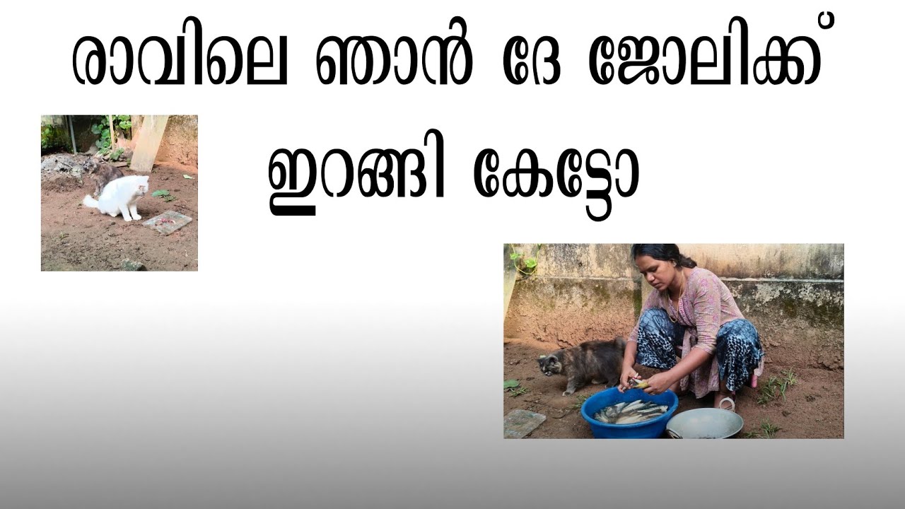 ദേ ഇങ്ങോട്ടൊന്നു നോക്കി 😁#like #food #shortvideo #hotel #subscribe #conment #vlog 