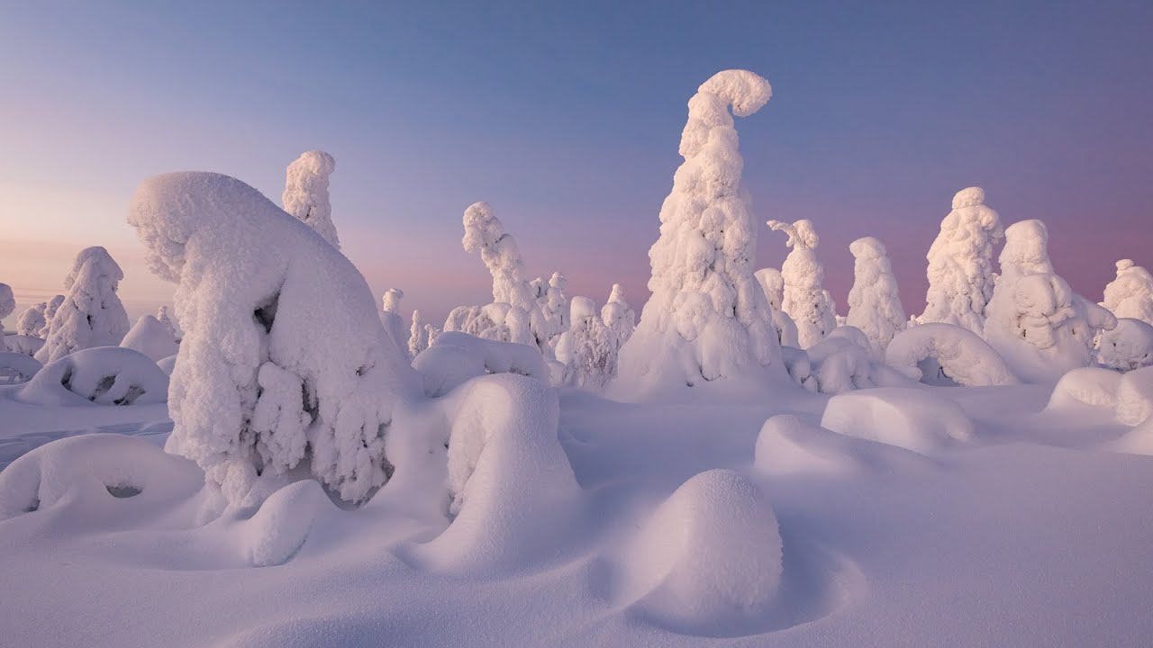 Viaggio fotografico - Lapponia Finlandese
