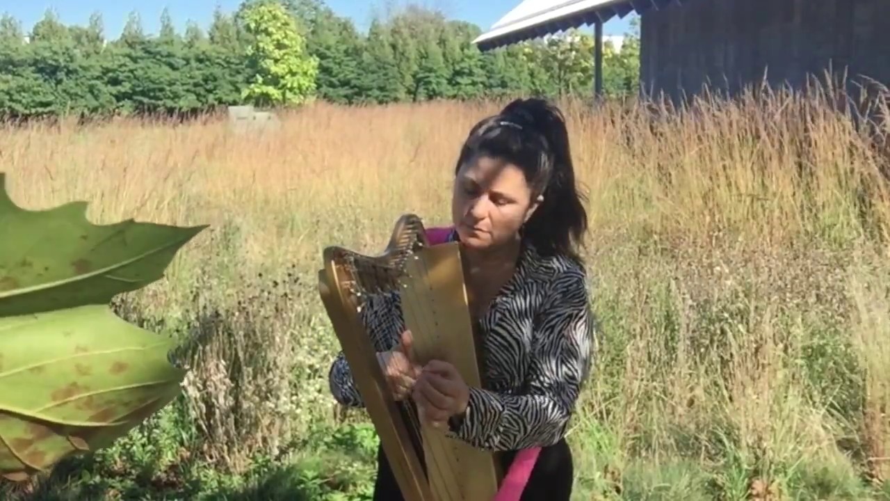 Celtic Harp improvisation on a 26 string harpist by Mia Theodoratus