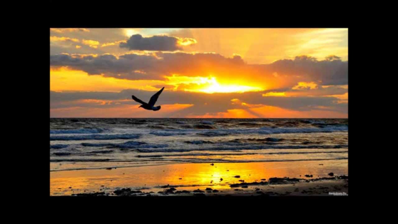 D. Hellbach. Flying Bird (RockBallads Vol.1)