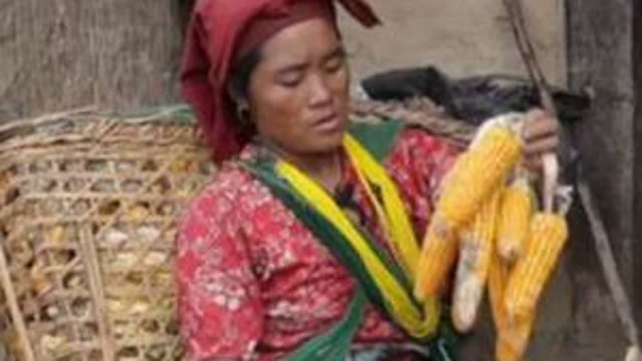 翠花从万能背包里拿出几根四季豆和两个佛手瓜配土豆蕨菜一起大杂烩#尼泊尔 #翠花 #记录真实生活 #农村生活