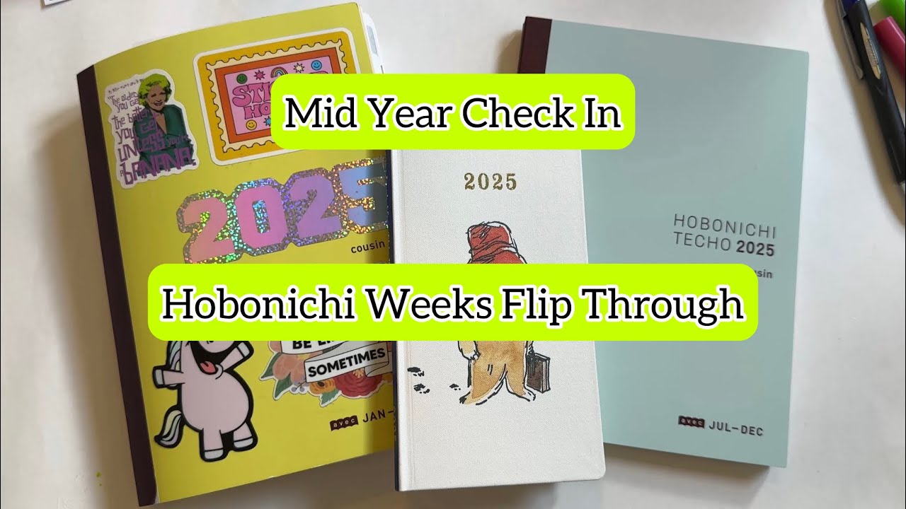 Plan With Me And Mid Year Planner Check In