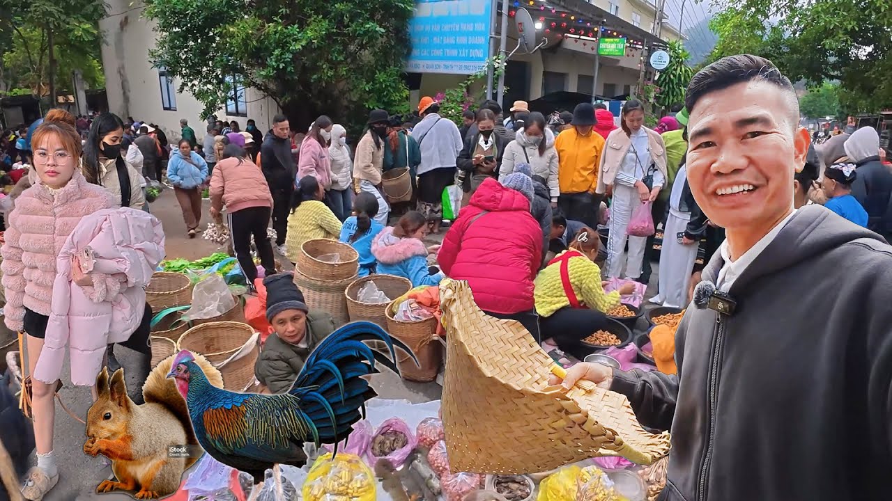 Chợ phi&ecirc;n Na M&egrave;o: B&aacute;n to&agrave;n đồ rừng của nước L&agrave;o | LAM SƠN TV