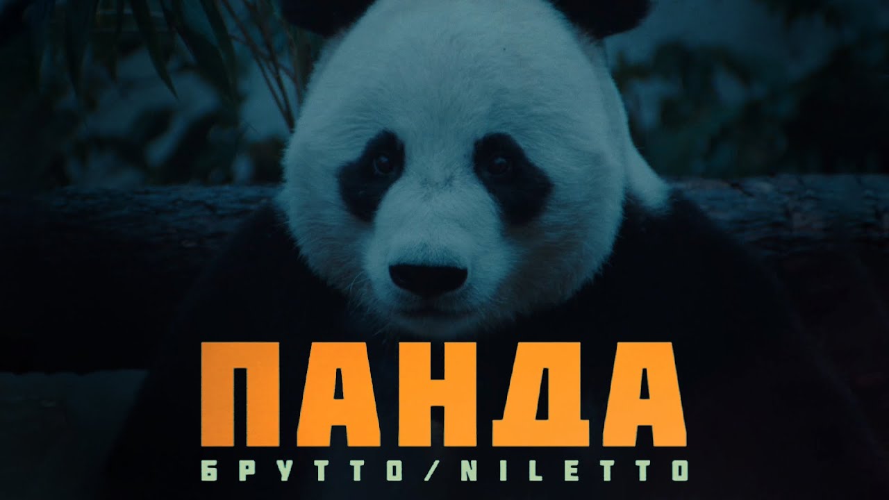 Брутто, NILETTO - Панда (Премьера клипа)