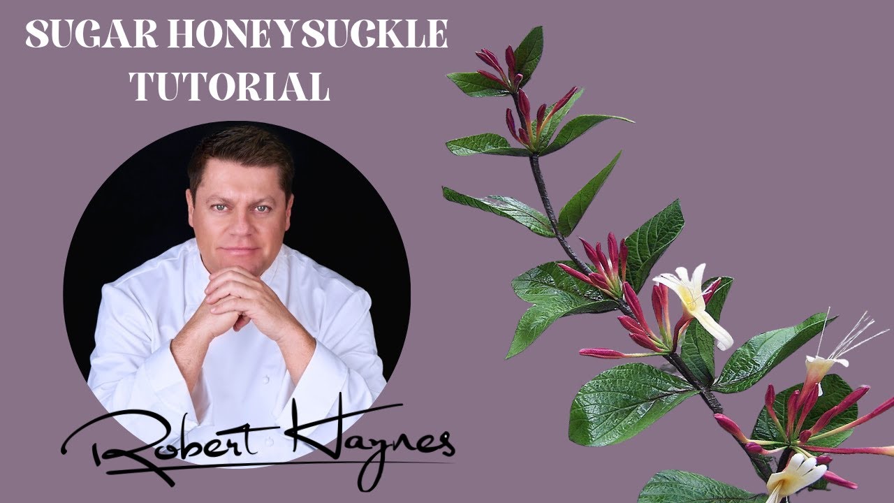 How to Make a Sugar Flower paste - Gum paste Honeysuckle with Robert Haynes