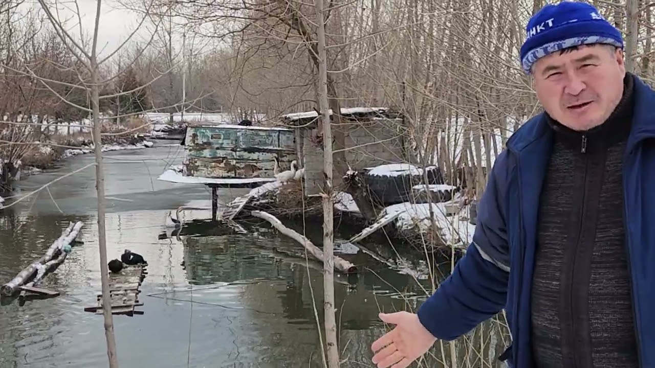 Шамиль 995528678 тел номери