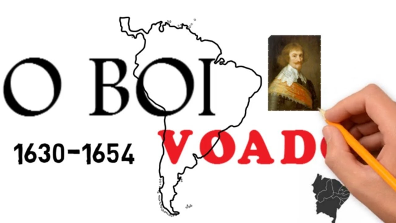 O boi voador de Nassau - Brasil Holandês
