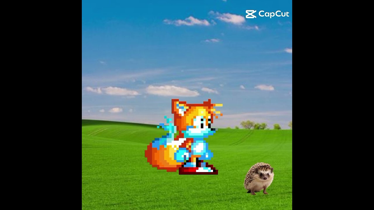 omg its sonic the hedgehog
