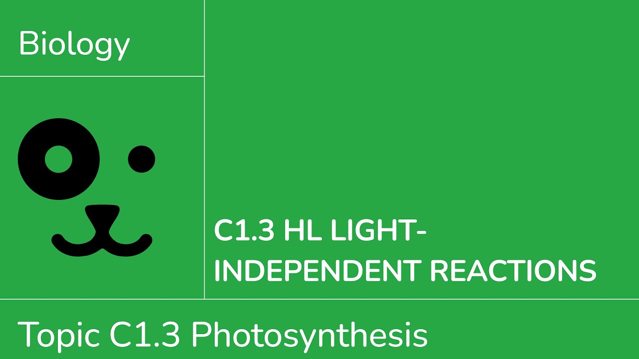 C1.3 HL Light Independent Reactions [IB Biology HL]