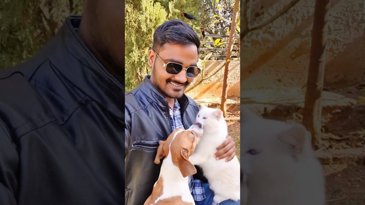 animal lover 