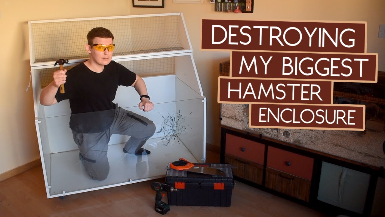 This Hamster Cage was a Mistake