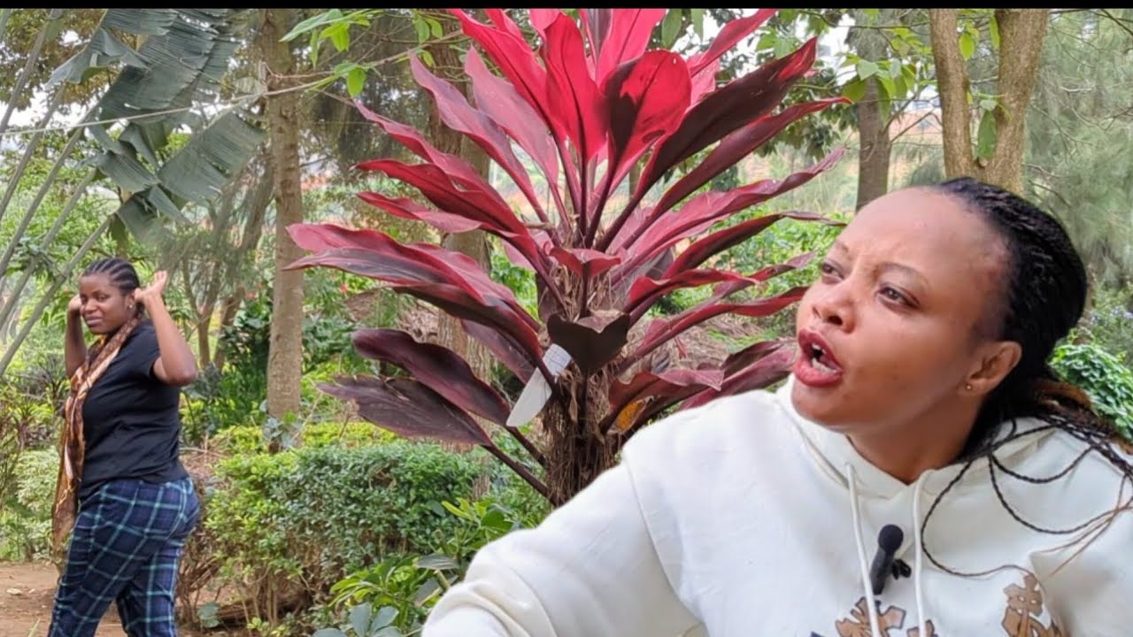 Cyore #Yvonne yakije 🔥kuri #mama_sumaya njyiye kumbwira #papa ibyawe byose hama hamwe mana we 😭