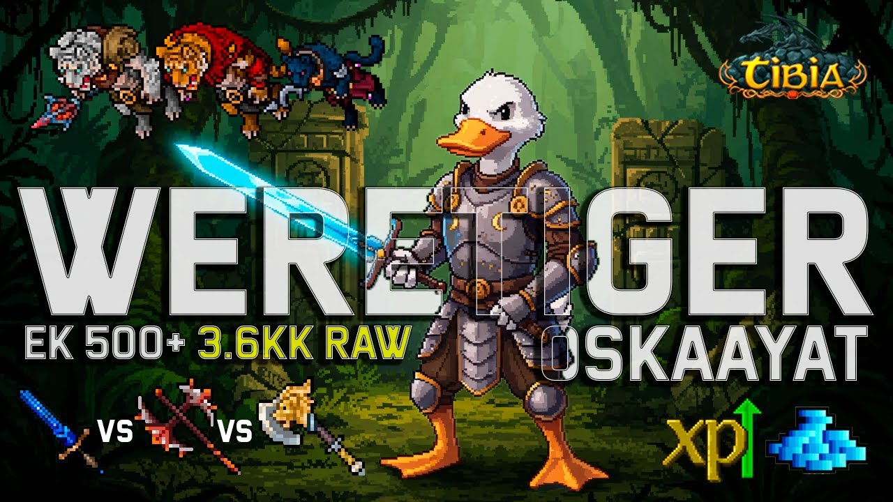 Weretiger -2 | 3.6kk RAW EXP | 500K+ Profit | Knight 500+ | Tibia Global | EK Solo