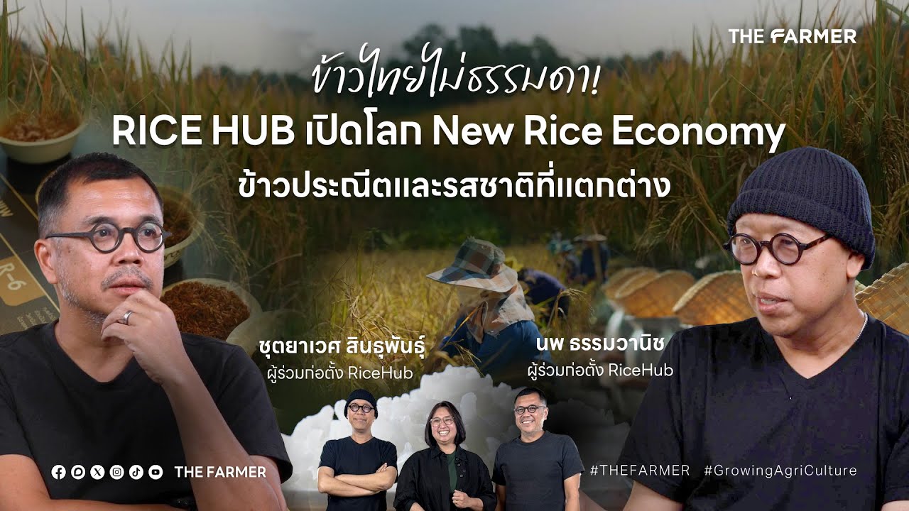 ข้าวไทยไม่ธรรมดา! RICE HUB เปิดโลก New Rice Economy ข้าวประณีตและรสชาติที่แตกต่าง | THE CAPTURE