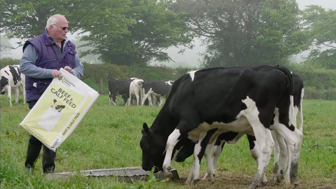 HARPERS FEEDS BRAND FILM