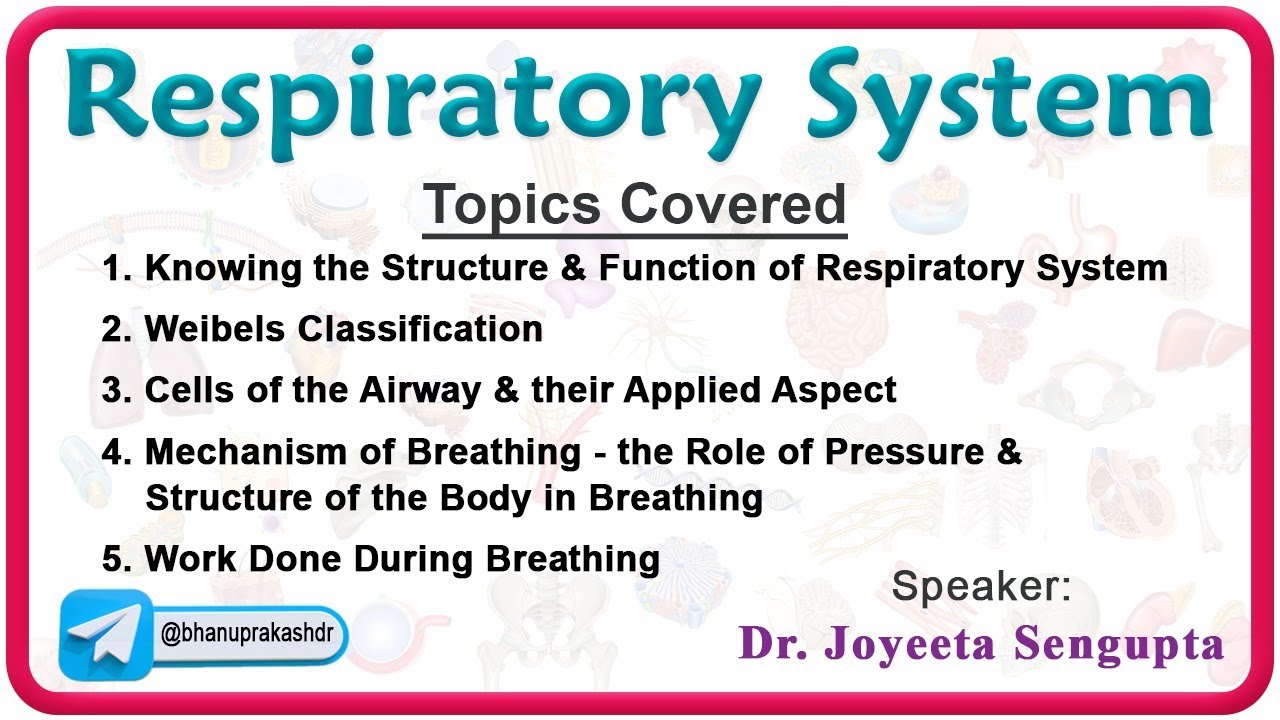 Physiology of Respiratory System part - 1
