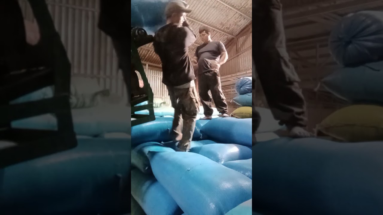 Brua grap hrue Kao nạ nao công việc môi ngày 