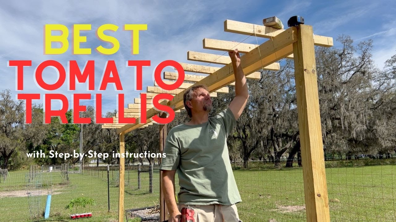Easy Build, the Best Trellis for Indeterminate Tomatoes
