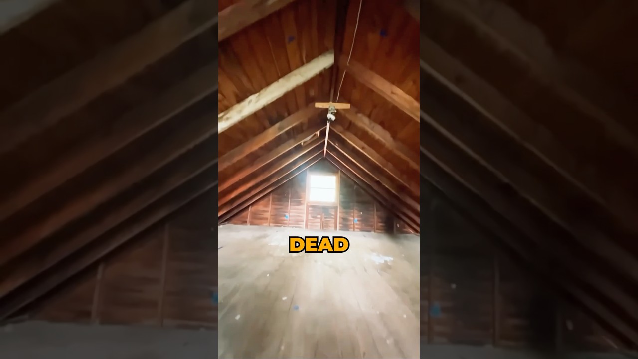 From SPOOKY ATTIC to COZY Home OFFICE &ndash; Amazing Transformation! (@caraandjessie) #shorts