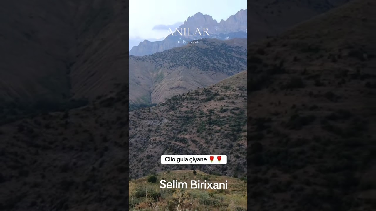 15 Şubat 2026