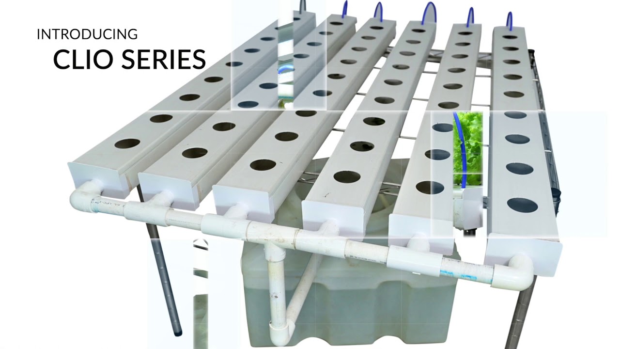 Home Grown. Own Grown. Now Grow Fresh Veggies At Home All Year Round with Hydroponic Home Kits