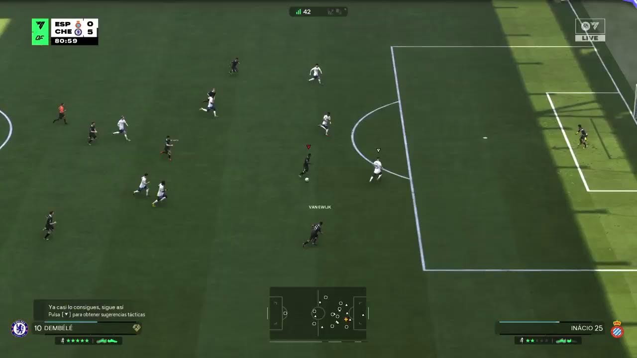 Chelsea SP vs Espanyol Pati NuevoSP
