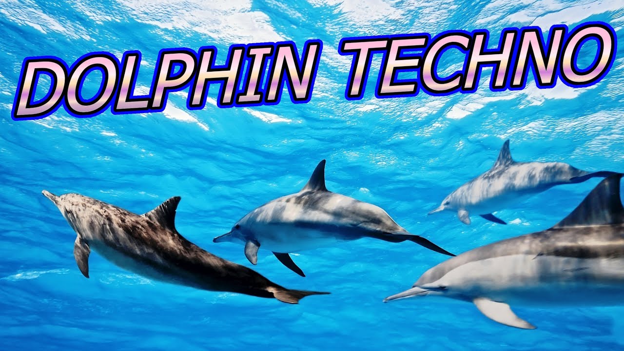 I made a techno banger out of dolphin noises.
