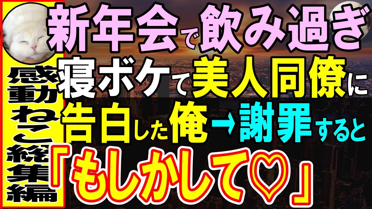 【感動する話】懇親会で泥酔した俺。間違えて女性社員に想いを伝えてしまったら、女性社員「もしかして…」意外な展開に…【いい話】【朗読】