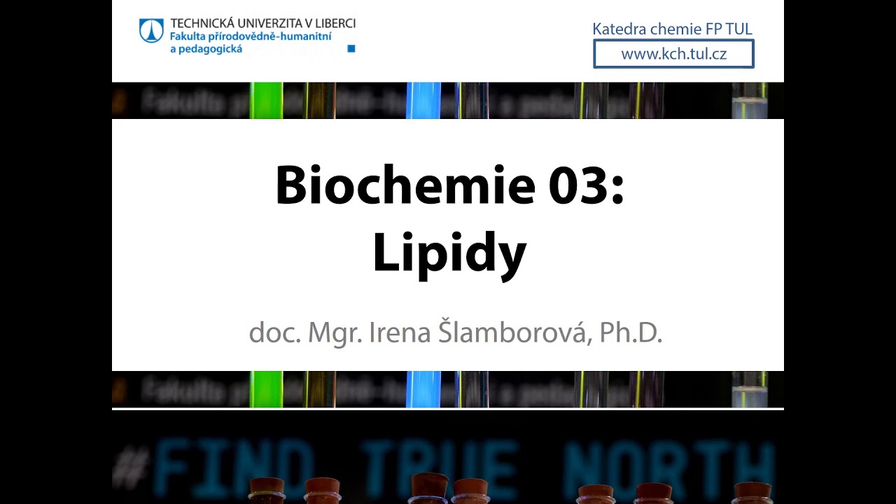 BIC03: Lipidy