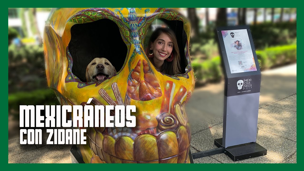 MEXICRÁNEOS en REFORMA CDMX / Ale Toledano