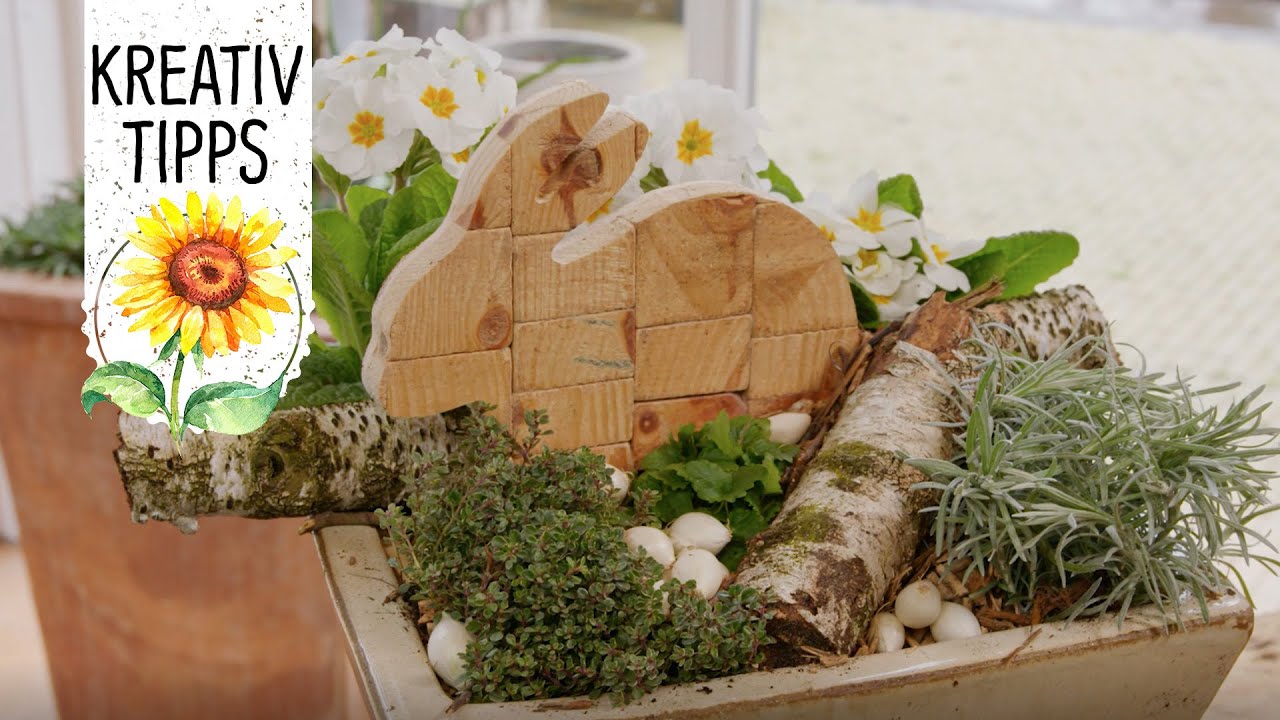 Osterdeko pflanzen 🐰 Ein Osterhase zwischen Primeln - Volmary® KreativTipps
