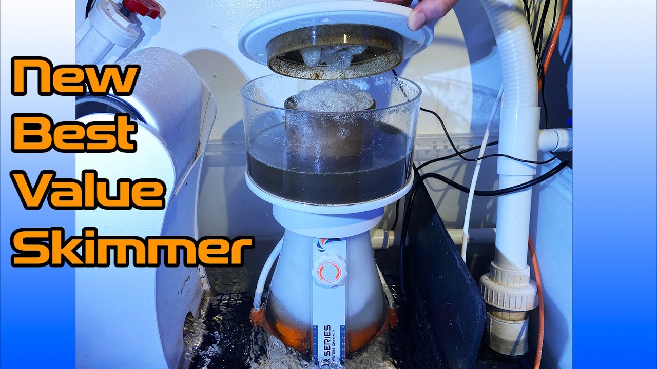 The Best New VALUE Skimmer - Jump SK-800