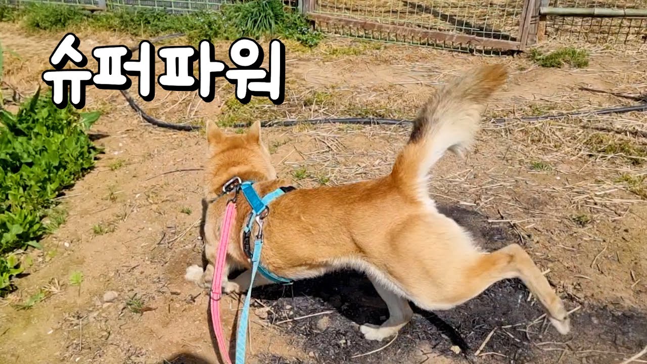 아무 말도 하지 못했습니다