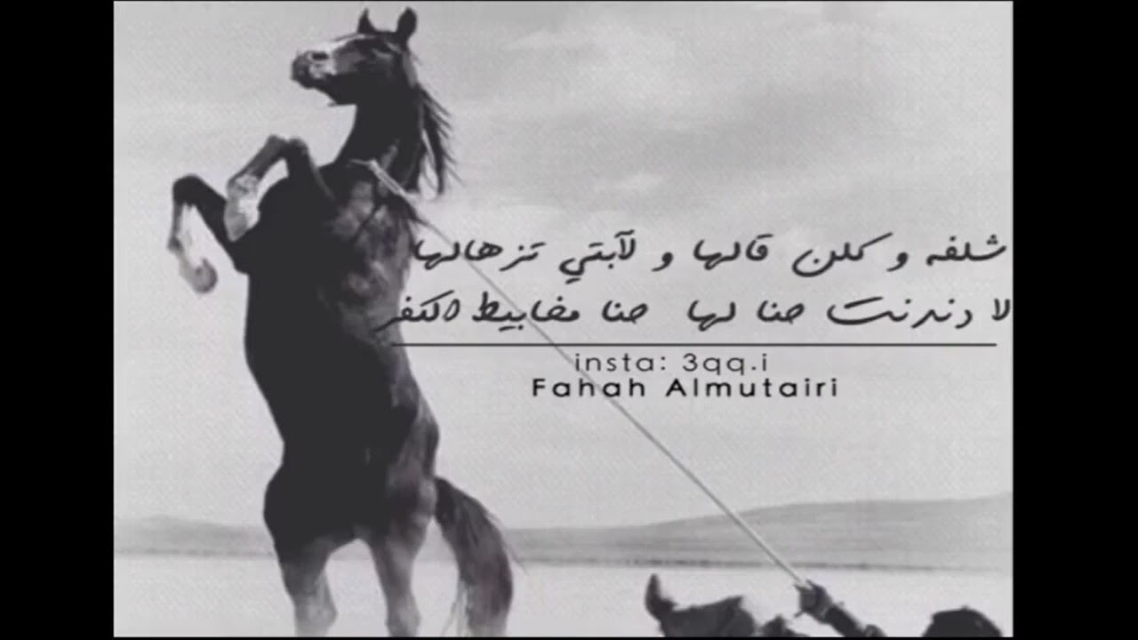 شيلة حماسية لا دندنت حنا لها ، حنا مخابيط الكفر | اداء محمد ال نجم | بدون ايقاع(بدون موسيقى)