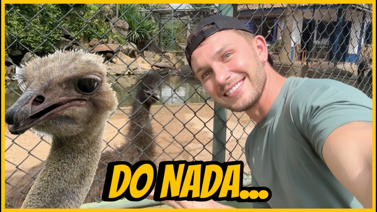 Era pra ser um dia normal, at&eacute; que... 😂 | Henrique Buttler