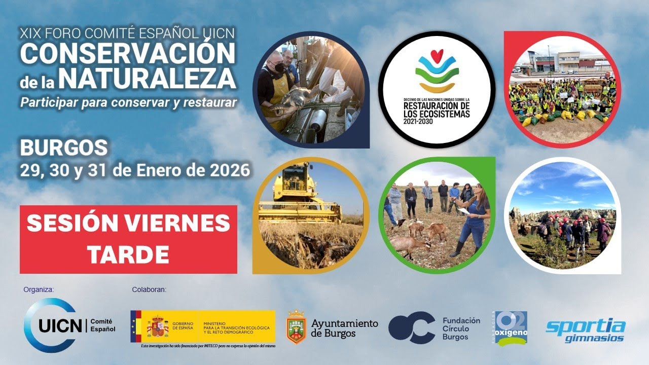 XIX Foro Comité Español UICN - viernes tarde
