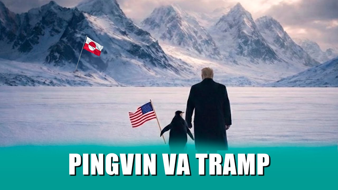 Ommalashgan “Nigilist pingvin” videosi