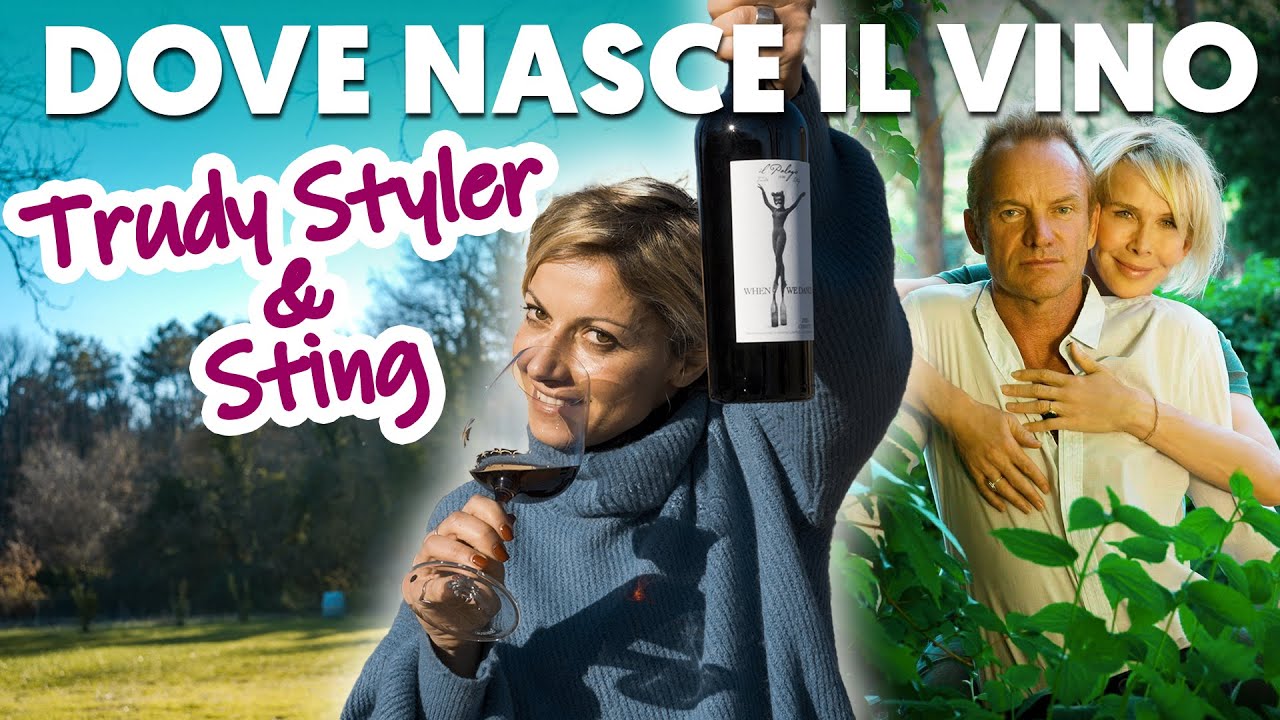 🍷VI PORTO DOVE NASCE IL VINO DI STING  🎸