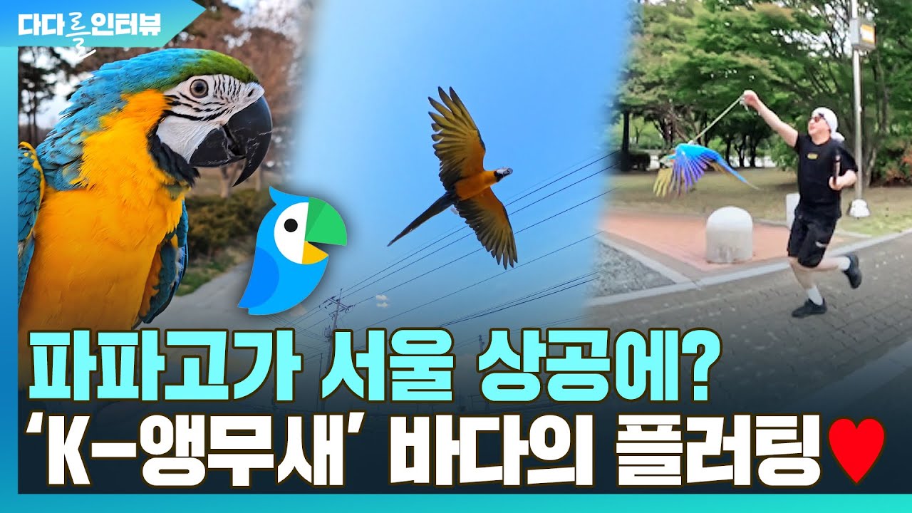 [다다를 인터뷰] 