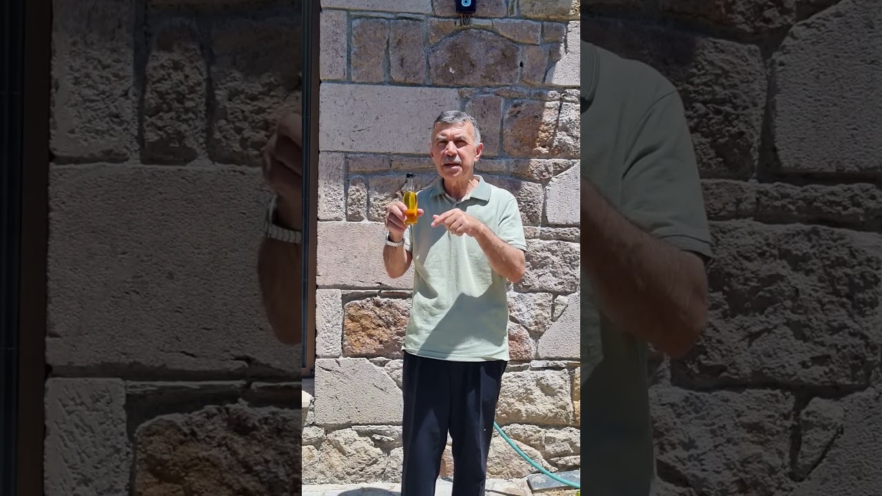Biberiye yağı faydaları 