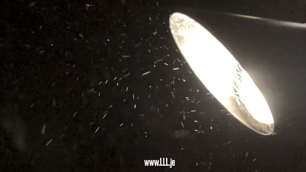 Hunza Lighting - Garden lighting designed to withstand the elements.