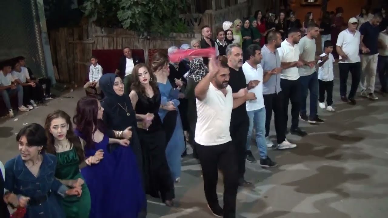 Hozan Cano Sertkaya Ailesinin Düğün Töreninden Bursa Karapınar Programından