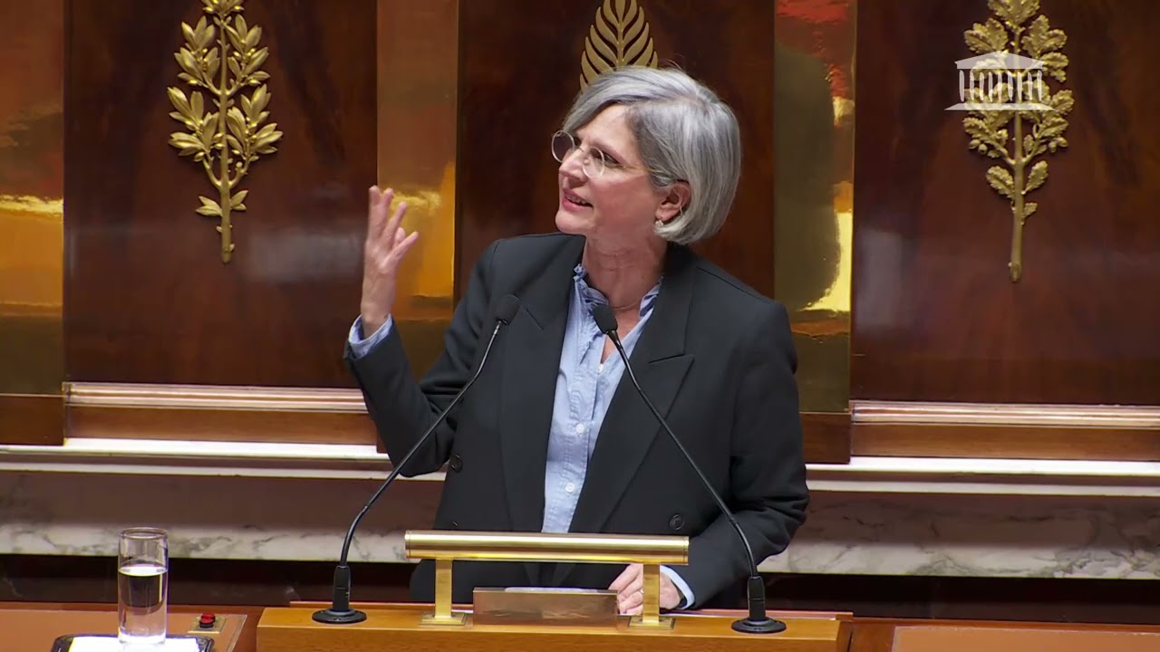 Le loup, les 7 chevreaux et le Rassemblement national #RN | Sandrine Rousseau