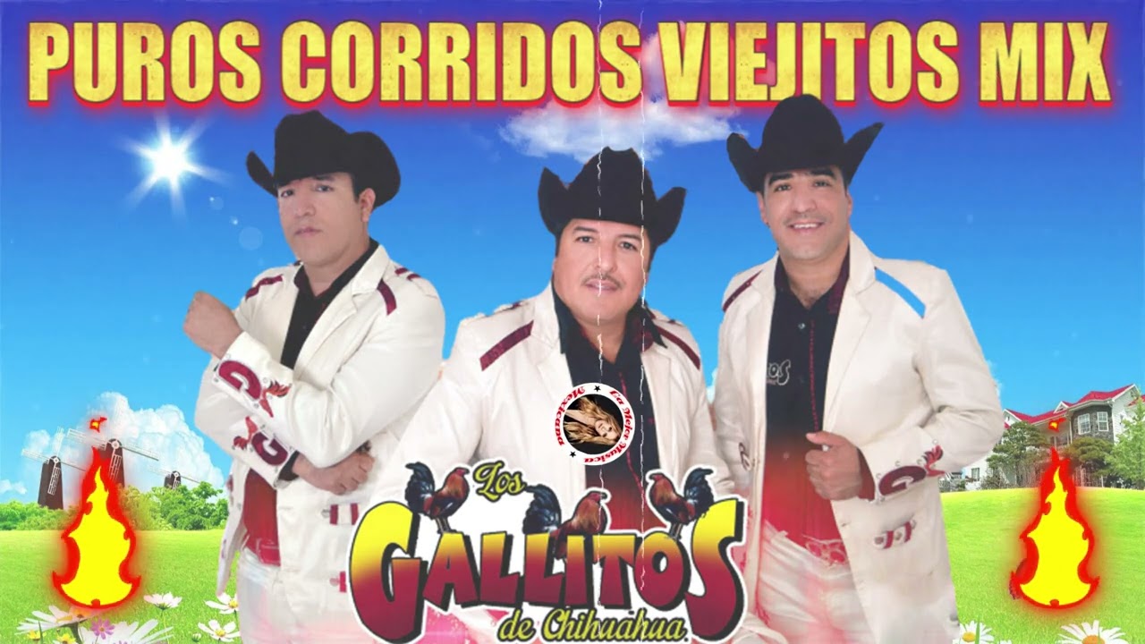 Los Gallitos de Chihuahua Exitos Con tololoche Mix || Puros Corridos Viejitos Mix