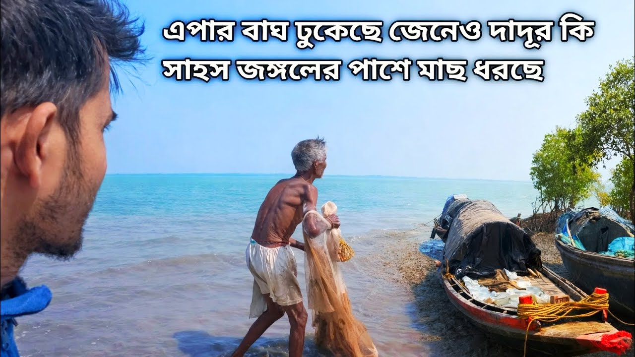 বাঘ 🐅 এসেছে জানতে পেড়ে সুন্দরবন বালিখাল নদীর পার ভয়ে ভয়ে ঘুরে তারা তারি এলাকা ছাড়তে হলো…..