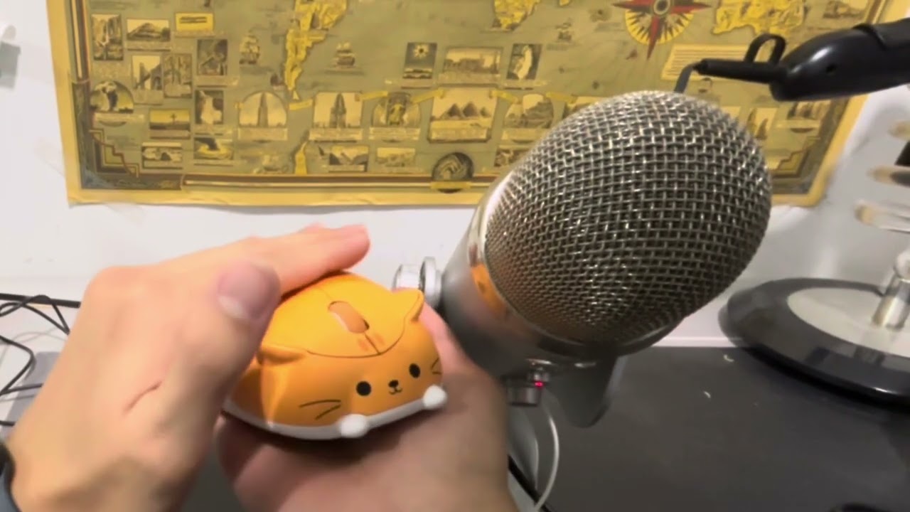 (first-person asmr) cat mouse 🐱