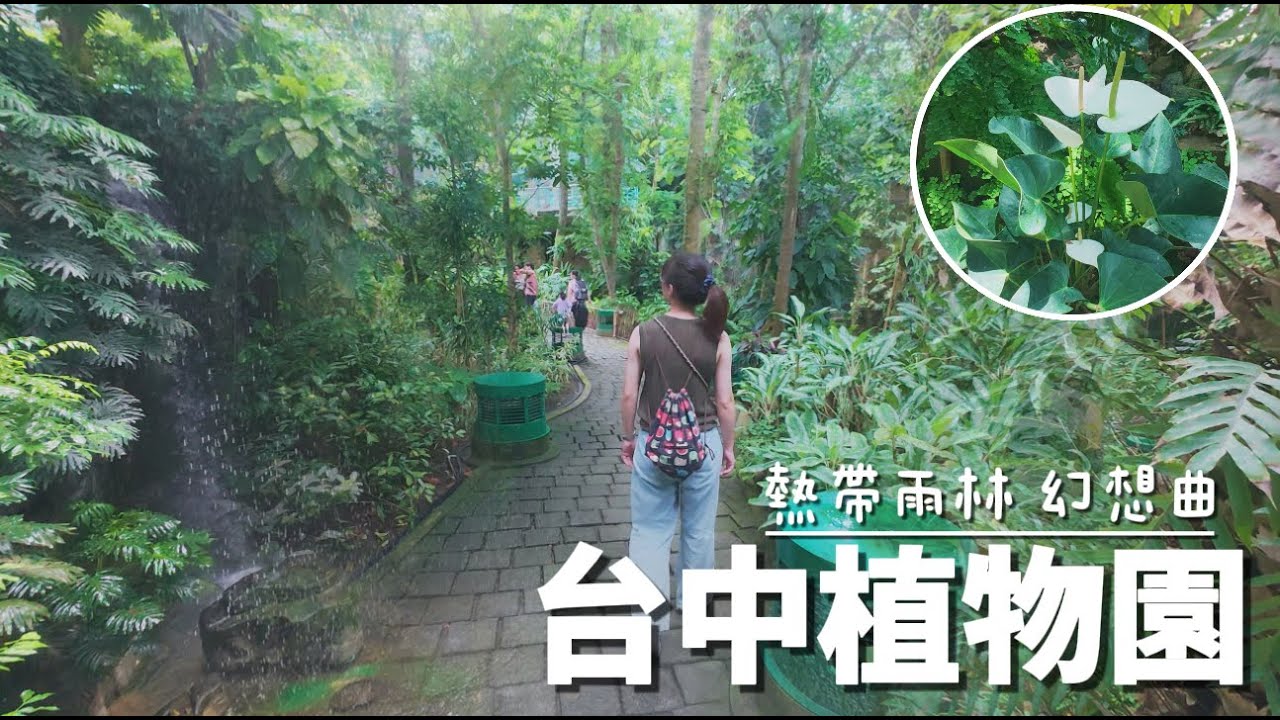 「台中植物園」森林狂想曲，一秒走進熱帶雨林 !