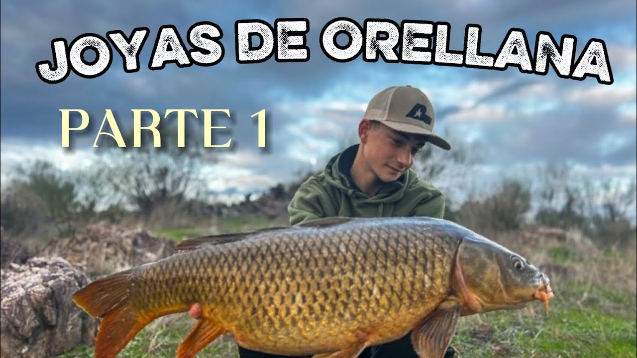 Carpfishing ORELLANA Invernal (PARTE 1)